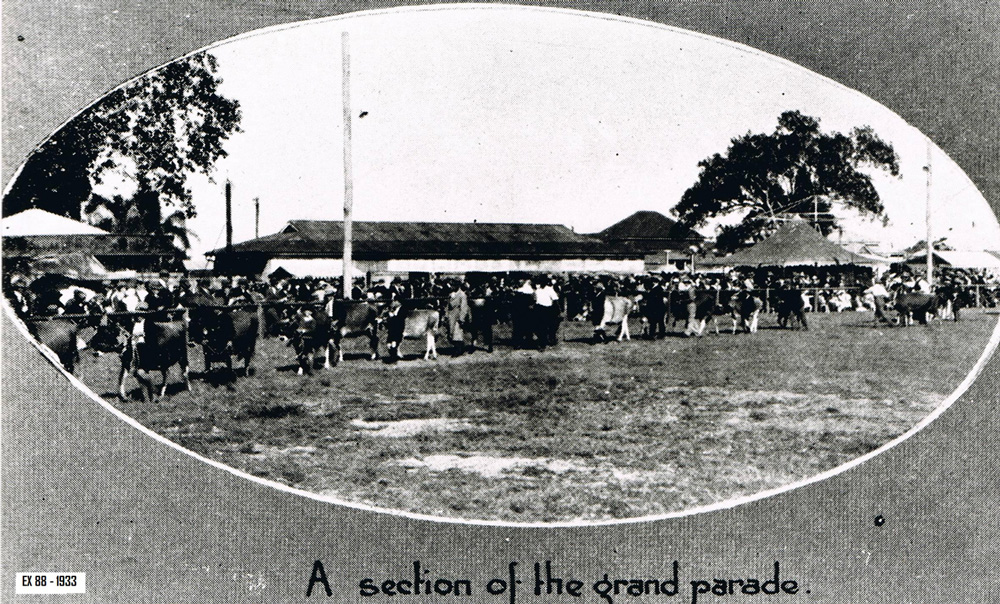 The Grand Parade, 1933. Supplied by show Society.