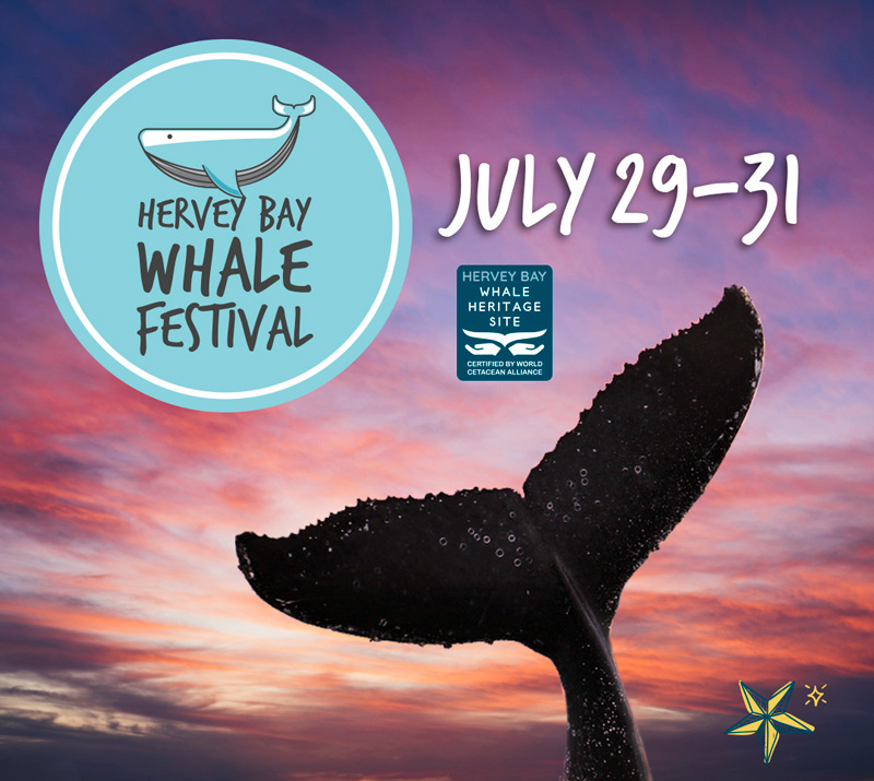Hervey Bay Whale Festival Our Fraser Coast