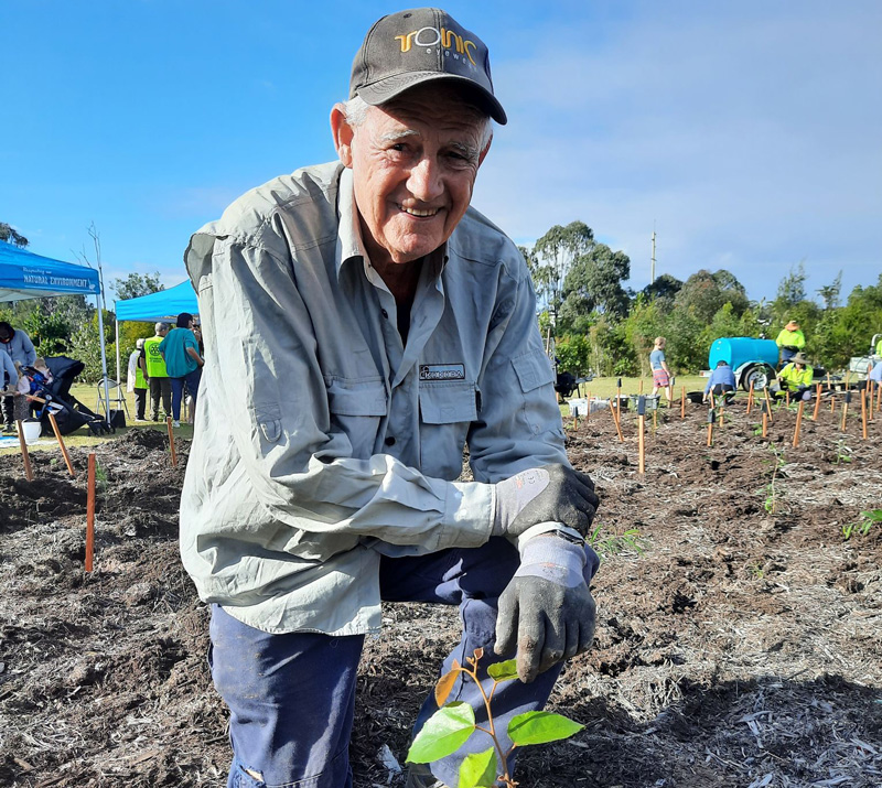 Tree planting